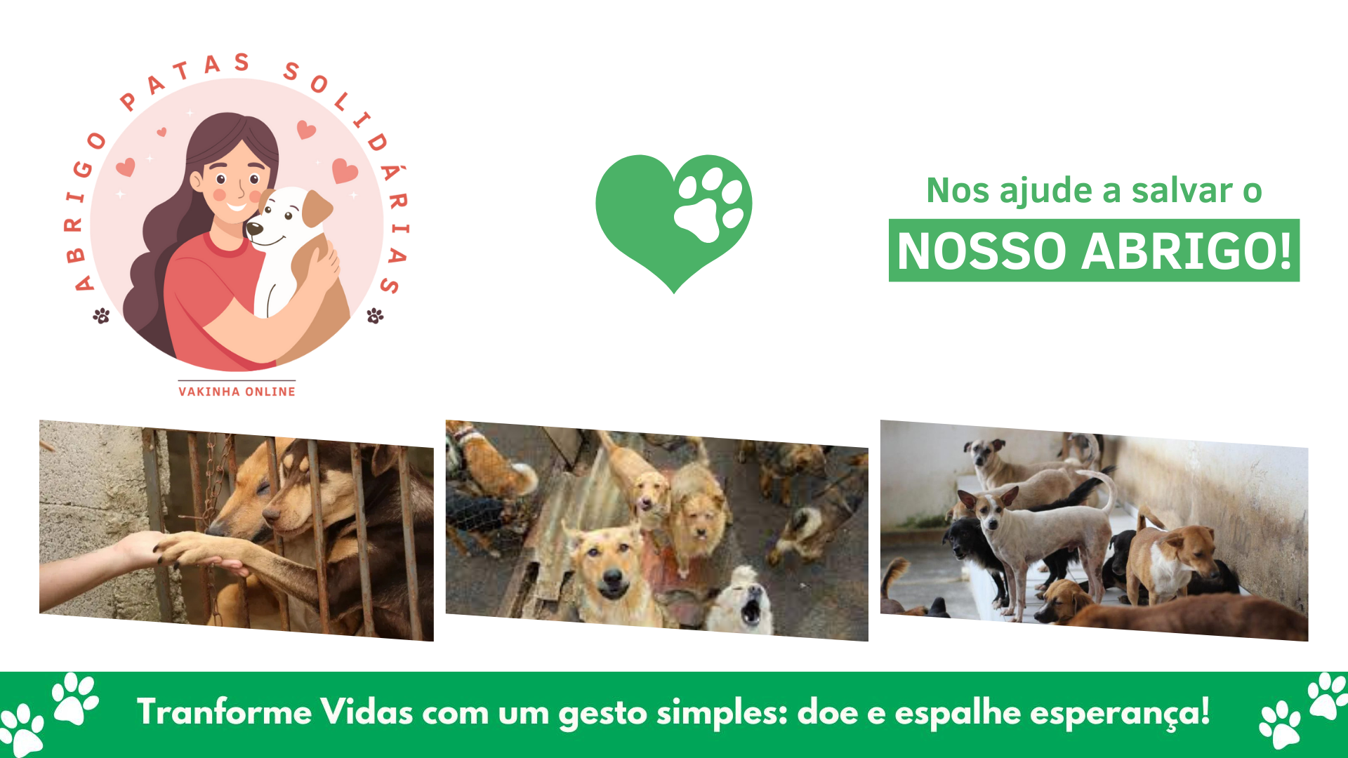 Salve o Abrigo Patas Solidária : Um refúgio para animais abandonados!❤️